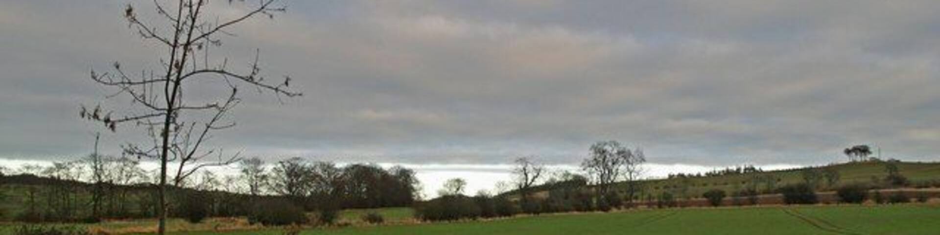 A rural landscape with a tree, open fields, and rolling hills under a cloudy sky.