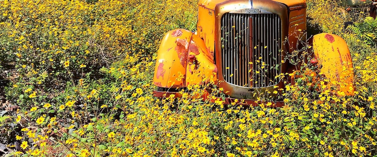 A gold mine and ghost town just outside of Jerome, Arizona. A graveyard for old cars.