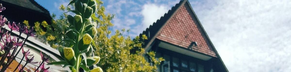 Perfect setting for the wedding of our dear friends....Grade 2 listed building set in 40 acres of beautiful gardens. Time for a Pimms !!