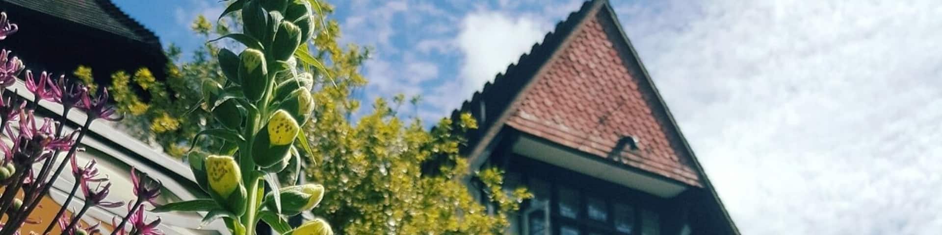 Perfect setting for the wedding of our dear friends....Grade 2 listed building set in 40 acres of beautiful gardens. Time for a Pimms !!