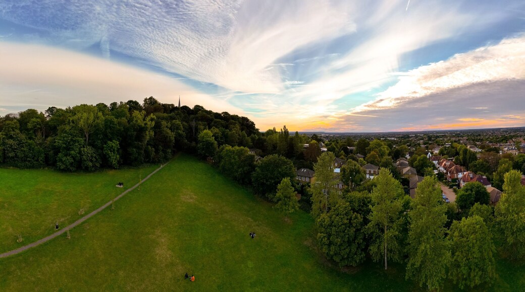 Beautiful summer landscape with green vegetation and a small town. Harrow on the Hill, England, UK.