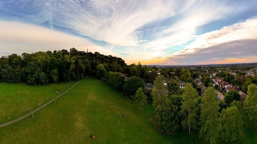 Beautiful summer landscape with green vegetation and a small town. Harrow on the Hill, England, UK.