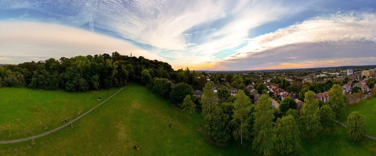 A park with a walking path, a dense forest, and a residential area with houses.