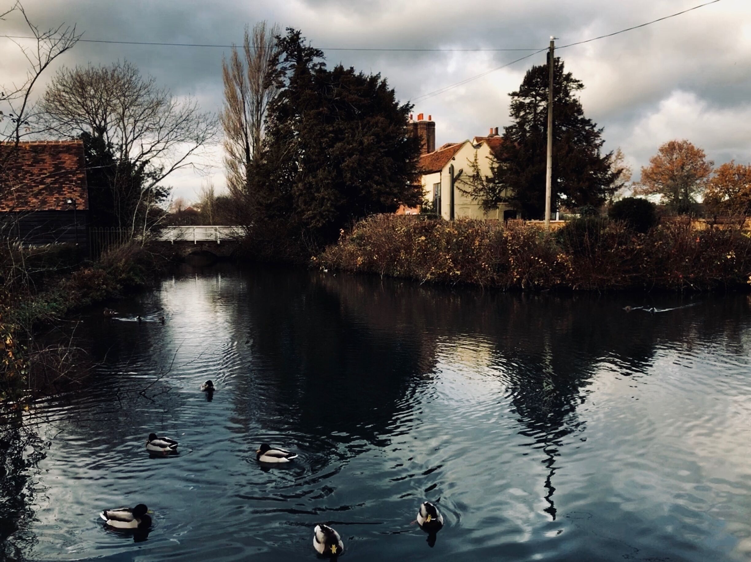 Headstone Manor Moat

Source of the river Yeading.

Nearest station: Headstone Lane.