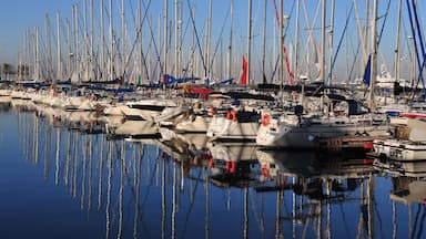 A marina with numerous sailboats docked in calm waters.