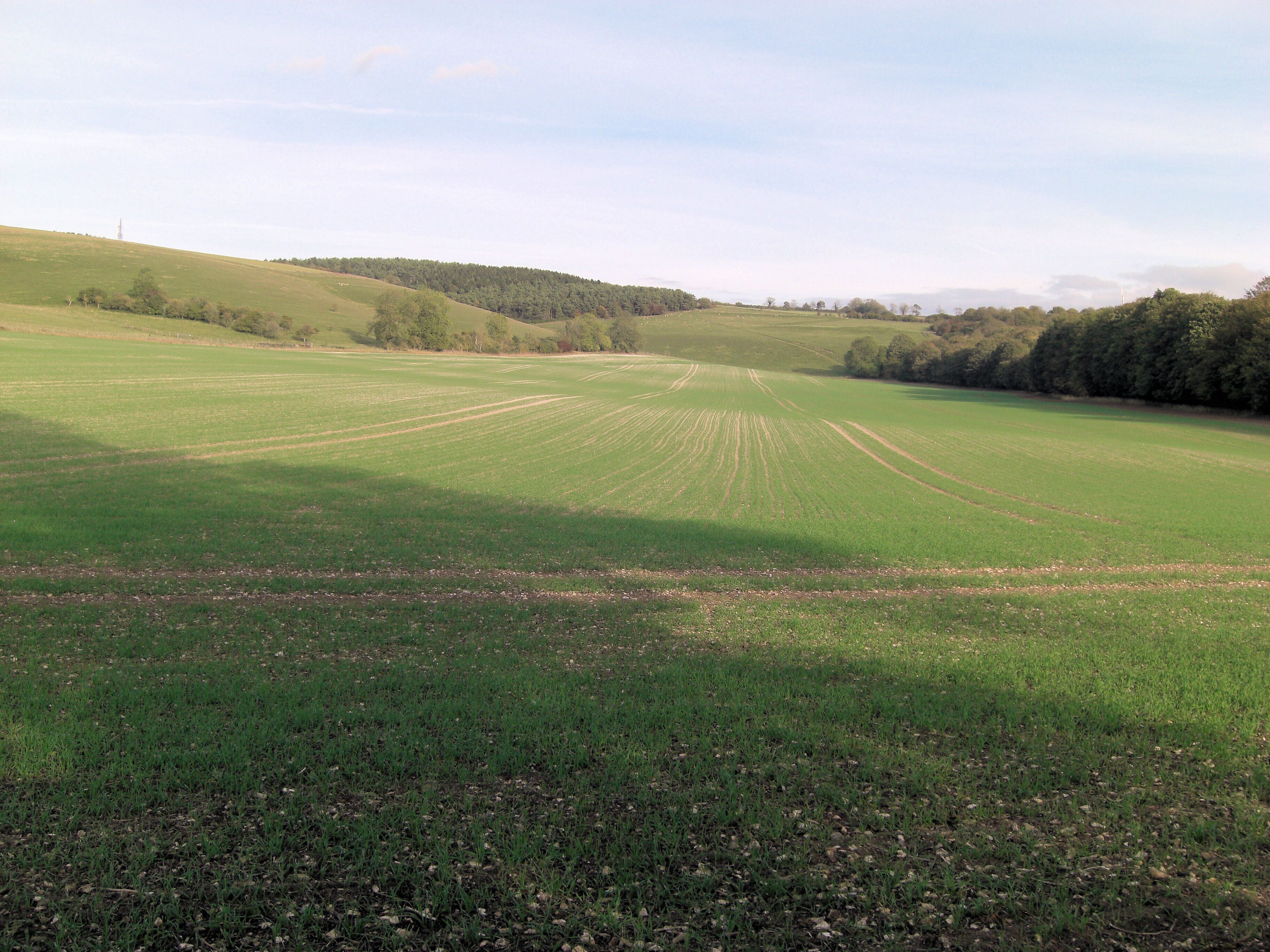 Hogs Hole from Combe Bottom © Copyright Stuart Logan
