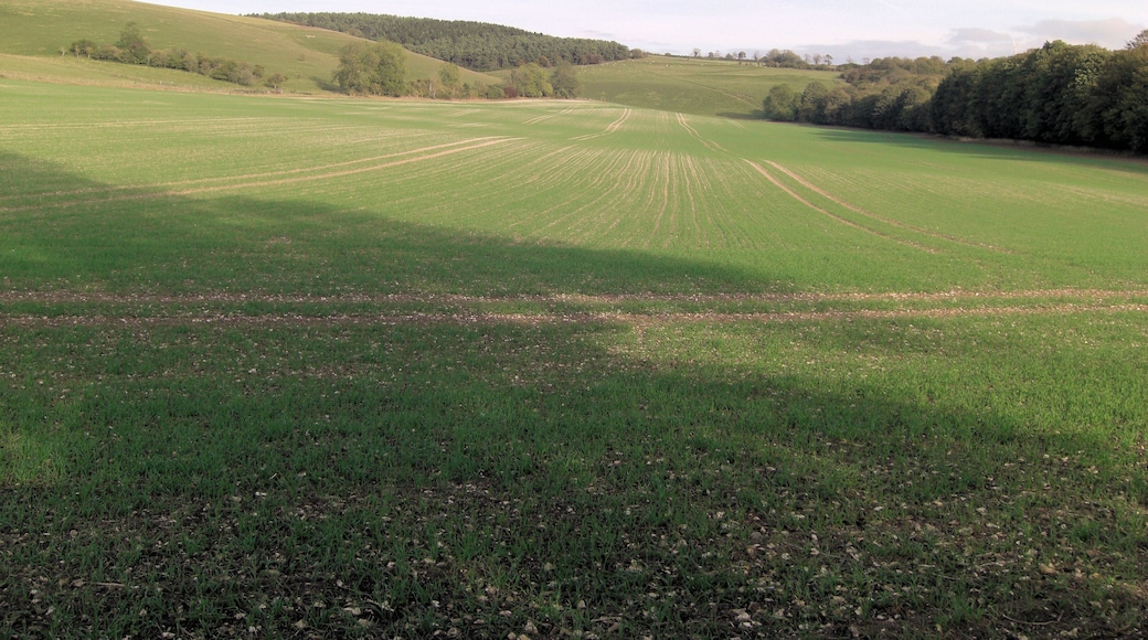 Hogs Hole from Combe Bottom © Copyright Stuart Logan