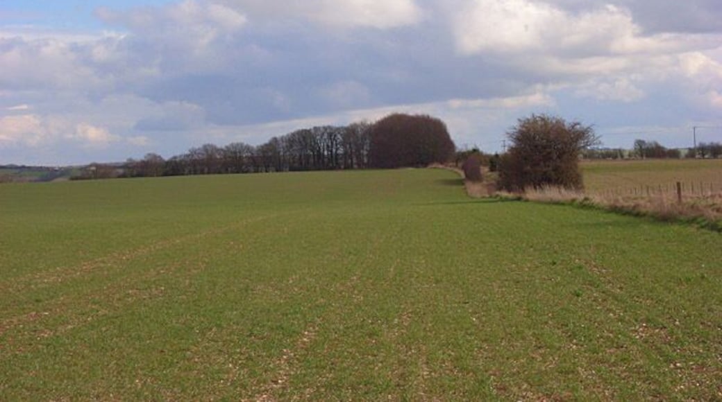 Farmland on the downs near Lambourn Beside the byway to Baydon Hole. Cumulus clouds were a feature of a bright and breezy day on the downs.