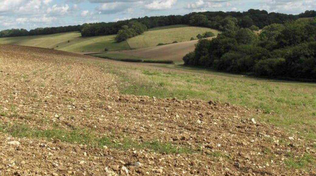 Valley near Eastbury. Looking down on the eastern end of Great Park Wood from the slopes of Shrags Hill.
