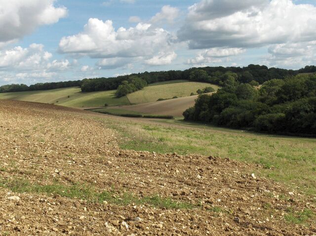 A rural landscape with rolling hills, a plowed field, and a forested area.
