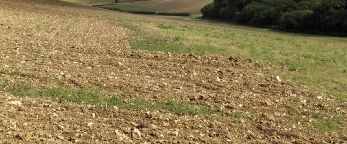 A rural landscape with rolling hills, a plowed field, and a forested area.