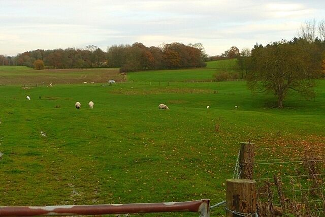 Pasture south of Anvilles The footpath leads down the wet bit to the left towards Anvilles.