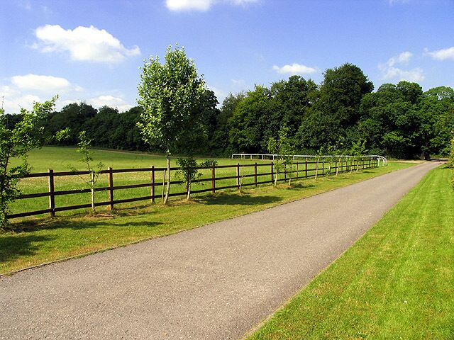 Valley Equine Hospital. This square consists of residences, farms and the Equine hospital. This view of the paddocks for horses "on the mend", is to the north of the hospital driveway, in the south western section of the square.