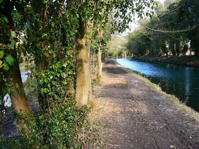 A narrow path beside a calm river, surrounded by dense greenery and trees.
