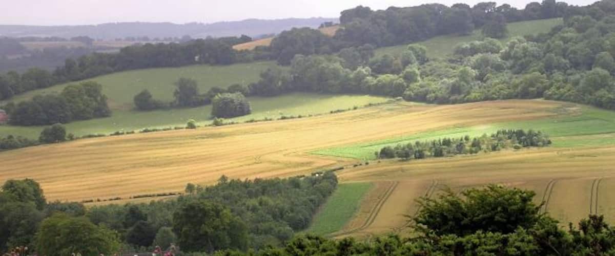 Eastern slopes of Summer Hill, Combe. Not a geograph in the strictest sense, as it was taken from close to the Combe Gibbet in the grid square to the north, but it does show a large portion of the grid square SU3661 - a coombe sheltered on three sides by Summer Hill, Inkpen Hill and Walbury Hill.