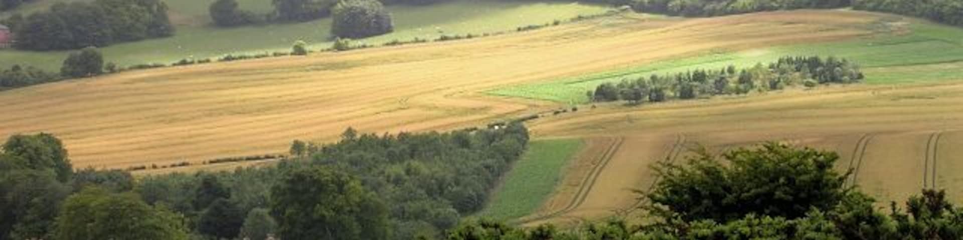 Eastern slopes of Summer Hill, Combe. Not a geograph in the strictest sense, as it was taken from close to the Combe Gibbet in the grid square to the north, but it does show a large portion of the grid square SU3661 - a coombe sheltered on three sides by Summer Hill, Inkpen Hill and Walbury Hill.