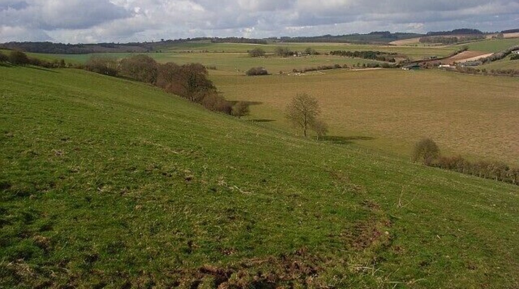 Coppington Down Looking towards Wiltshire from the byway/footpath junction at the top of the down. Farncombe Farm is to the right in mid distance.