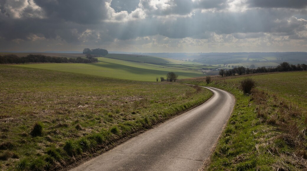 ํ๊ฑฐํผ๋