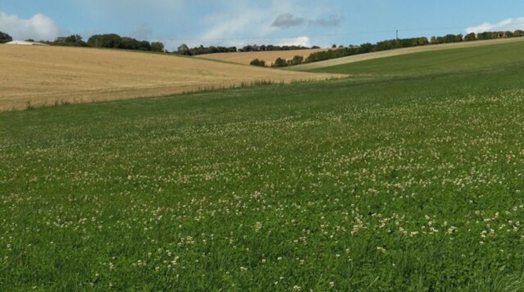 Farmland, Coldborough. Looking up a small dry valley into the downs above the Lambourn Valley Way.