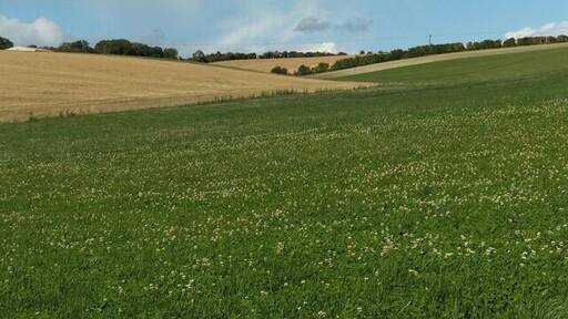 Farmland, Coldborough. Looking up a small dry valley into the downs above the Lambourn Valley Way.