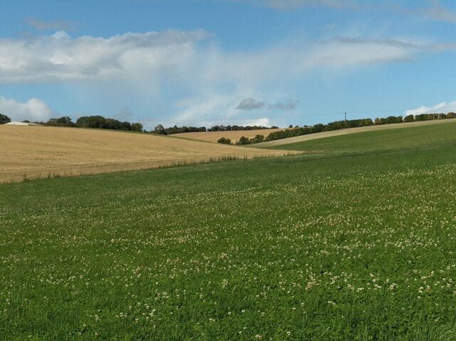 A vast green field with a distant tree line under a partly cloudy sky.