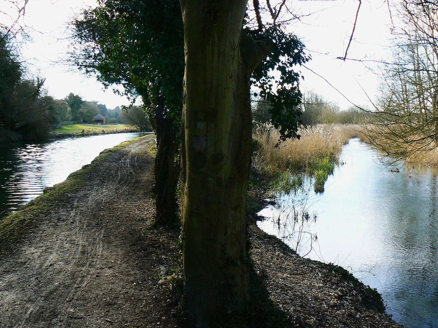 Kennet and Avon canal and the River Kennet, east of Kintbury The river is on the right, the canal on the left. The canal is at a higher level than the river.