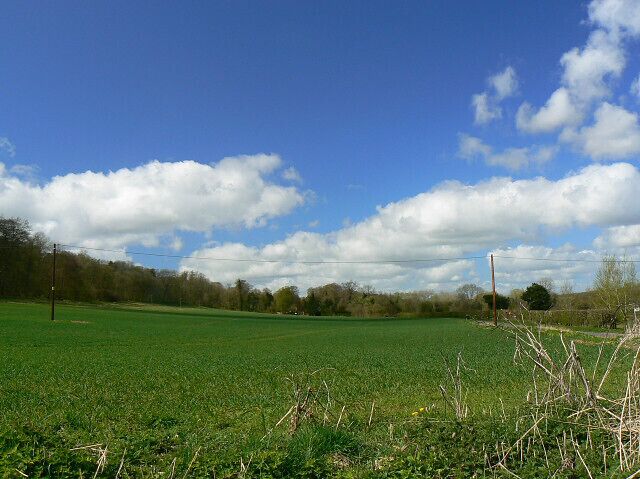 A view west from south of Chilton Foliat A cereal crop is starting to grow beneath spring sunshine. The road to the right leads to Littlecote House, now an hotel.