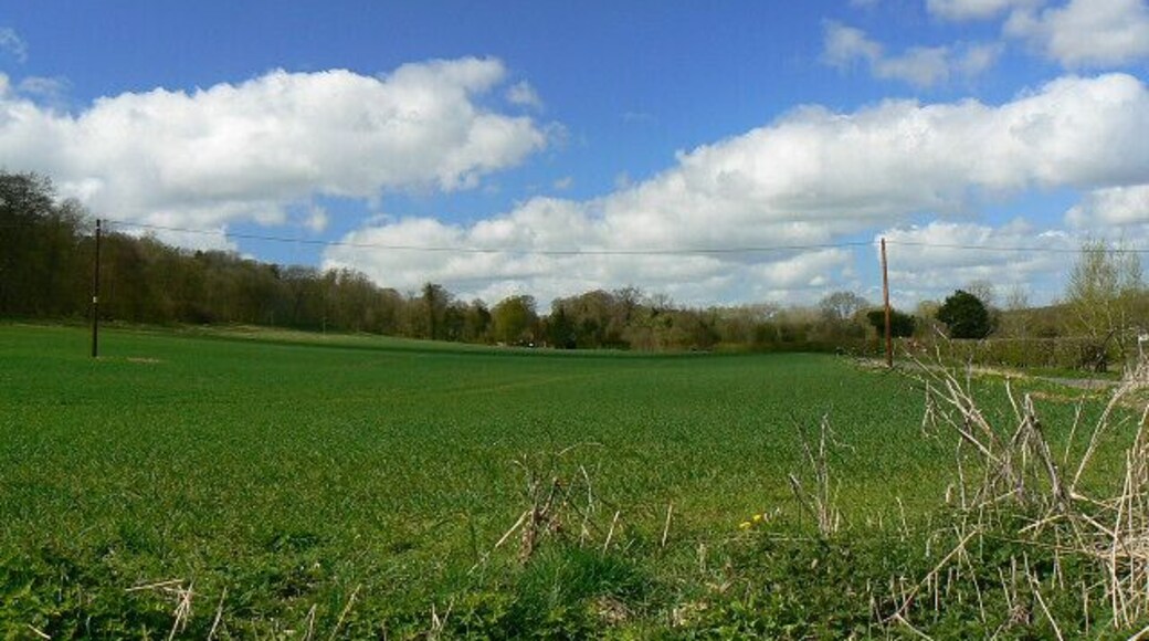 A view west from south of Chilton Foliat A cereal crop is starting to grow beneath spring sunshine. The road to the right leads to Littlecote House, now an hotel.