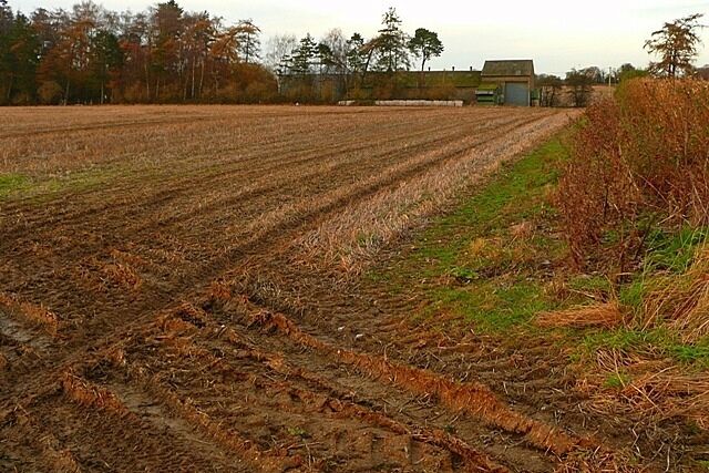 Field at Cold Harbour Strong lines show up well in the late afternoon autumn sunlight.
