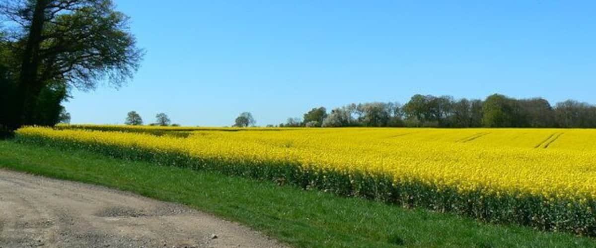 Farmland, Littlecote Park Farm, near Froxfield Taken from where the farm track turns to the south-west. The woodland on the right horizon is named Sellworth Border.