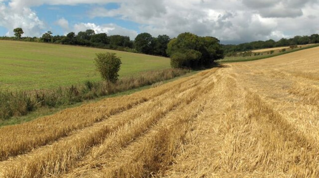 Farmland, approaching Dore's Farm. A footpath proceeds along the hedgerow up to Dore's Farm which is just a derelict barn and shed.