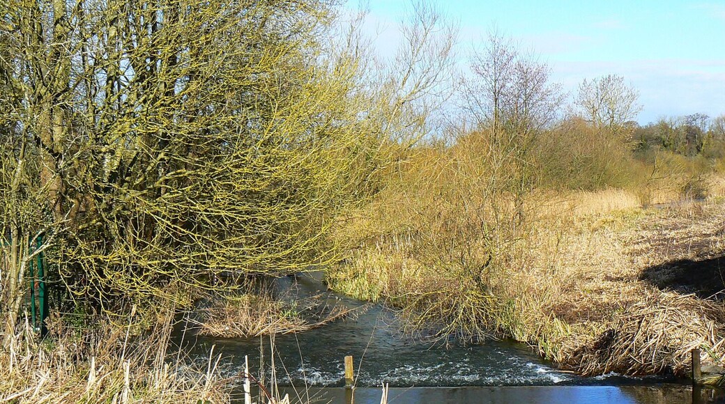 Weir, River Kennet and Kennet and Avon canal, Kintbury To a non-expert like me it appears that the canal is draining some of its contents into the river via this weir. There must be a reason for it.
