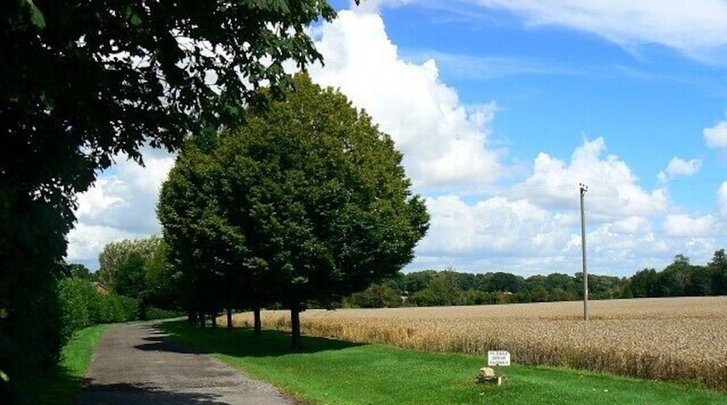 Access road to Fisher's Farm, near Shefford Woodlands Fisher's Farm is a bed and breakfast establishment. I don't know anything about it but it is in a beautiful location. Update: I've been directed to the website for Fisher's Farm http://www.fishersfarm.co.uk/index.htm Should viewers want somewhere to stay in this area they might like to consider this possibility. As I said, it's a lovely spot.
