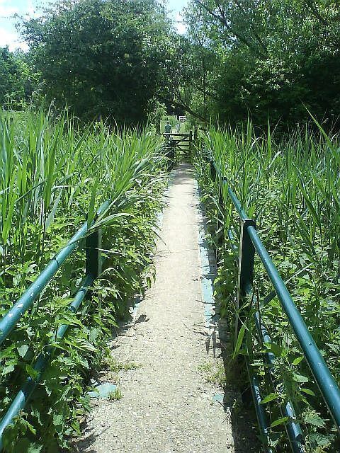 Un sendero estrecho bordeado de hierba alta y barandillas metálicas, que conduce hacia una estructura distante.