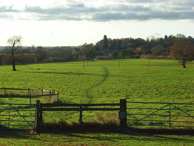 Pasture, Knowl Hill A footpath makes its way to the village. The church's steeple may just be made out amongst the trees.