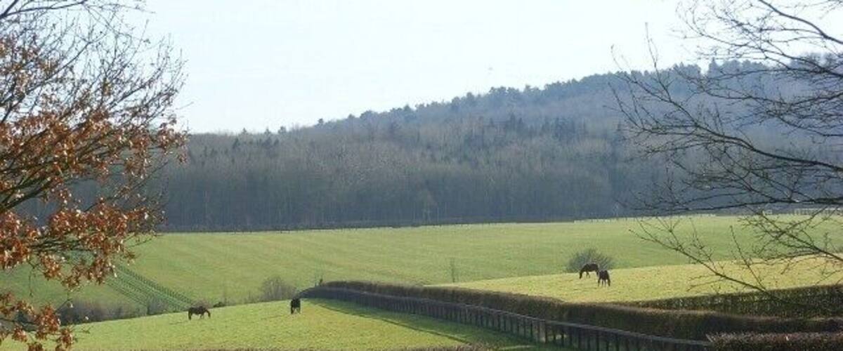 Horses grazing, Hurley The rolling slopes of a valley viewed from just north of Juddmonte Farm North. Ashley Hill rises in the background.