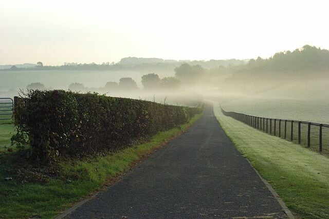 Track, Rosehill Passing between Juddmonte paddocks and descending to a valley in this gently rolling area of chalk hills. It is also a permissive footpath.