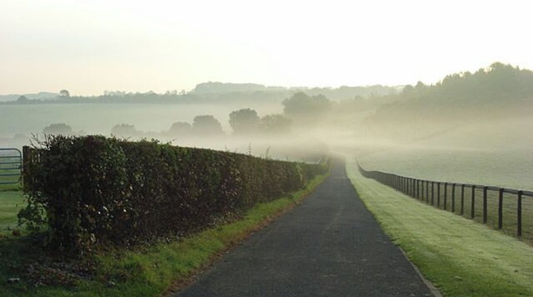 Track, Rosehill Passing between Juddmonte paddocks and descending to a valley in this gently rolling area of chalk hills. It is also a permissive footpath.