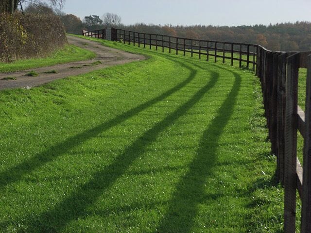 Track and fence near Warren Row The smart fences like this are used in the area to enclose the many horse paddocks.