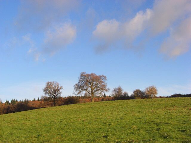 Pasture, Knowl Hill Looking up to Ashley Hill Forest from just off the Warren Row Road.