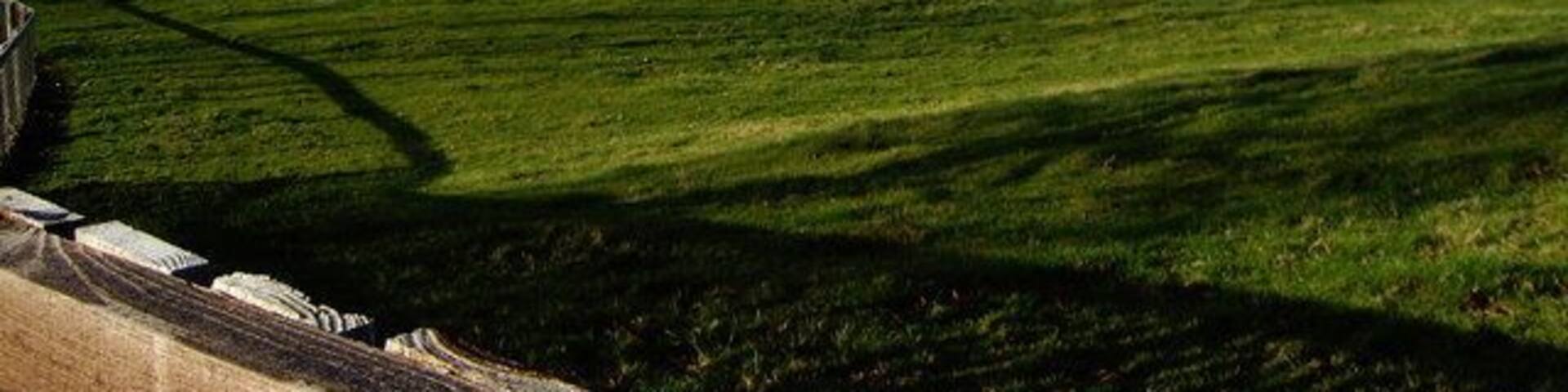 View from footpath towards Honey Lane