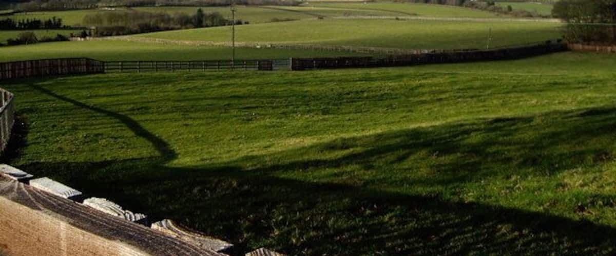 A green field with a stone wall and a fence.