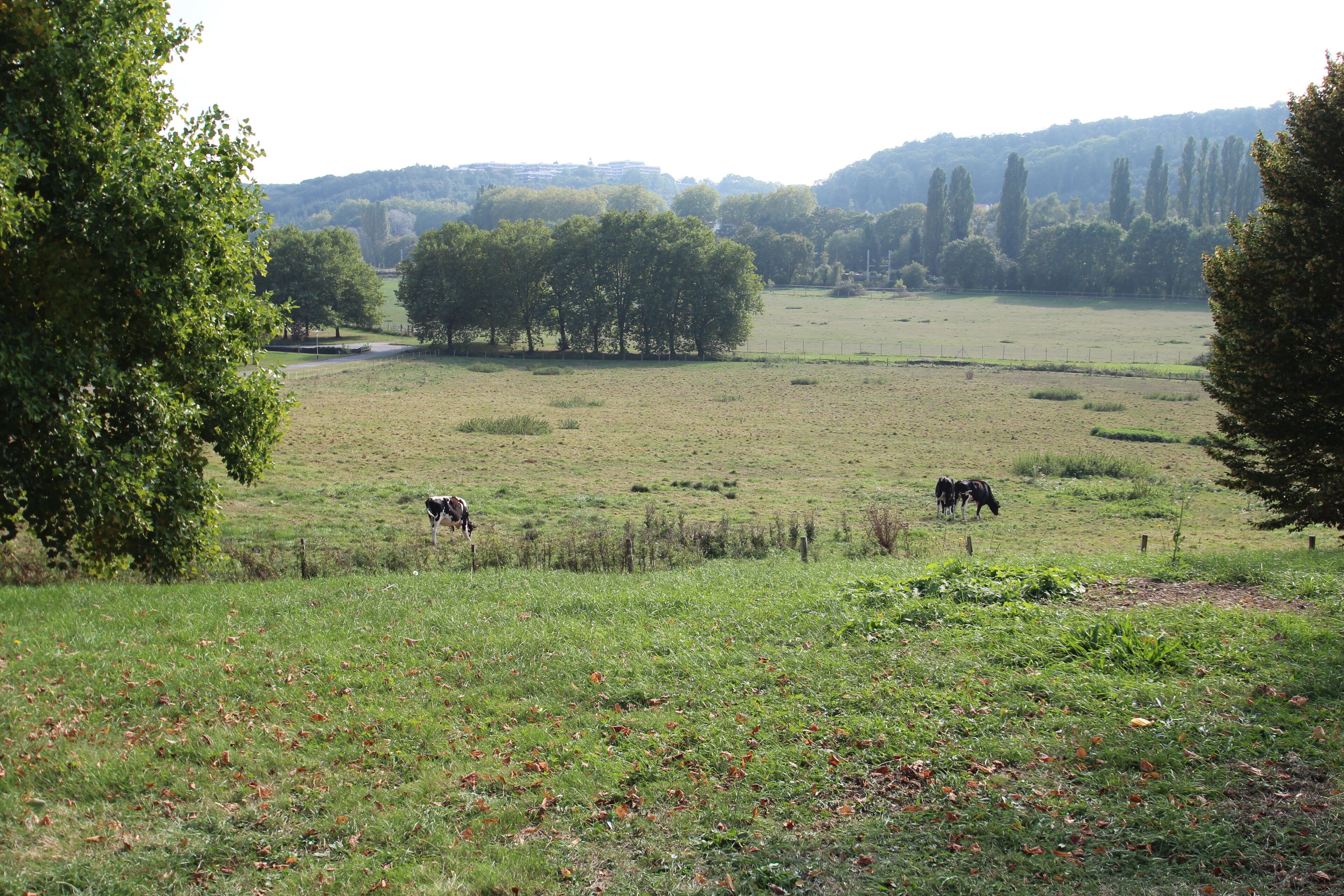 Inra research center in Jouy-en-Josas, France.