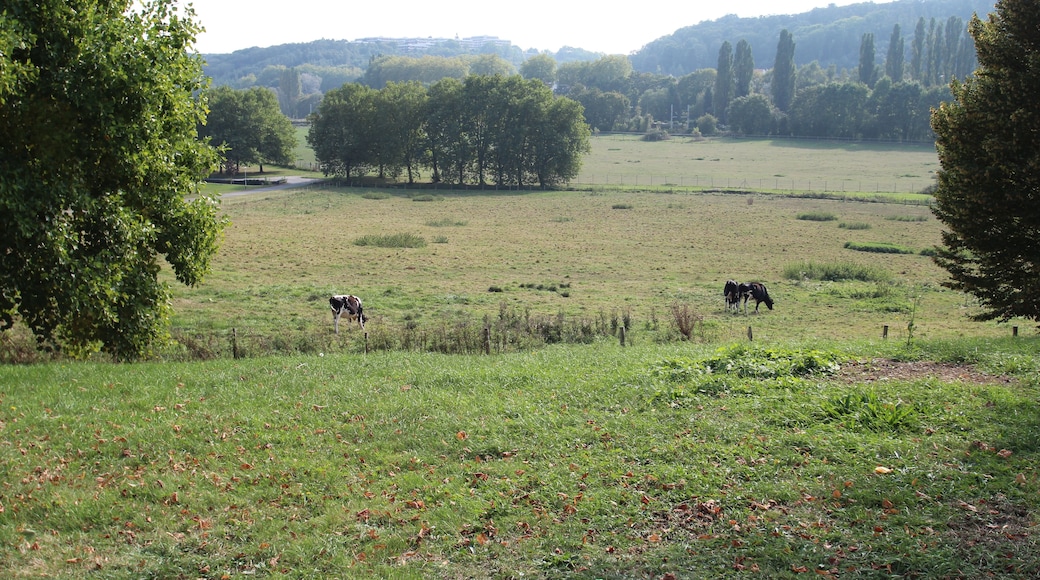 Inra research center in Jouy-en-Josas, France.