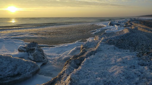 Morgens um 8.00 in lausiger Kälte, März 2011