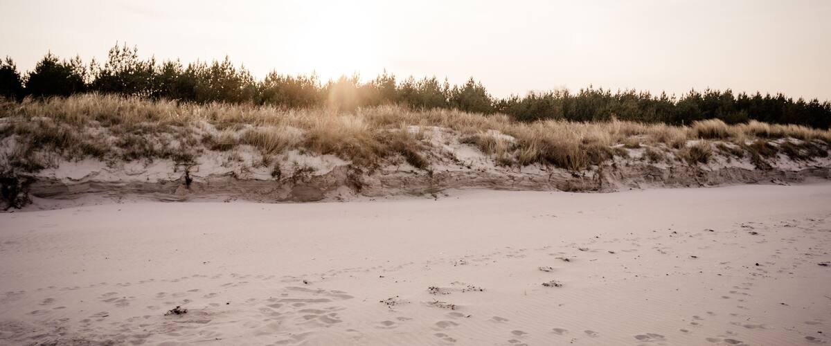 A sandy beach with footprints and grassy dunes.
