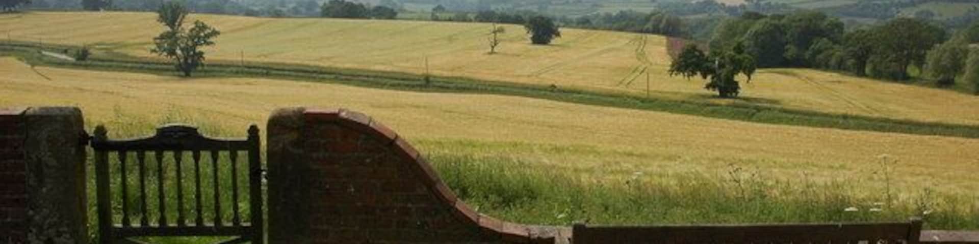 View to the west from Bayton churchyard Bayton church is situated on high ground, to the west is a good view to Titterstone Clee Hill, which can be seen here on the horizon.