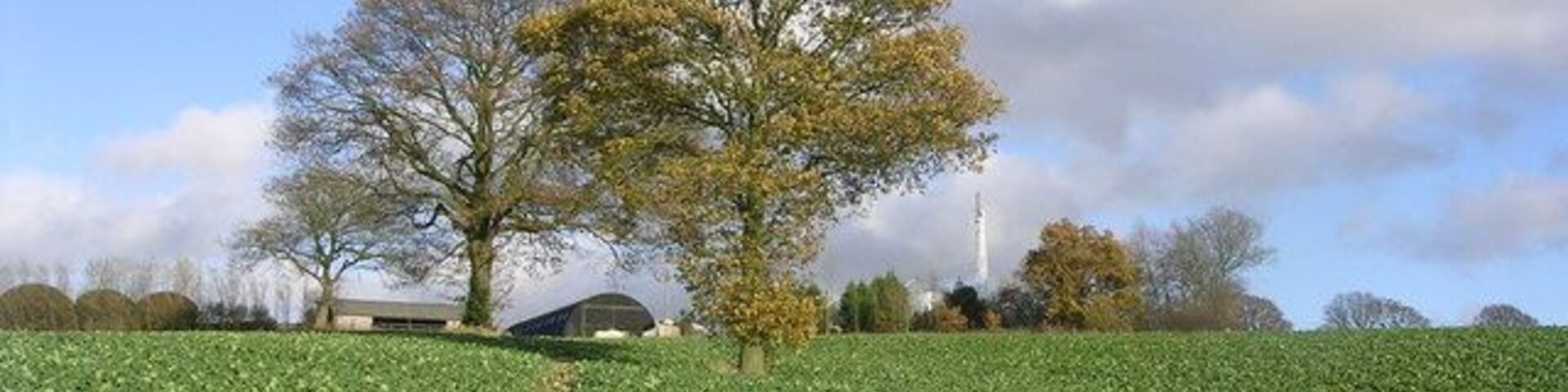 Un campo verde con un árbol y un edificio al fondo.