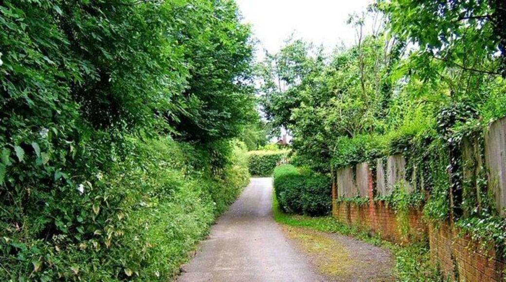 Eagle Lane near Tenbury Road Eagle Lane becomes semi-rural in character in this area. In the distance is the junction with Tenbury Road.
