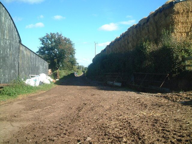 Farm Road at Ingardine